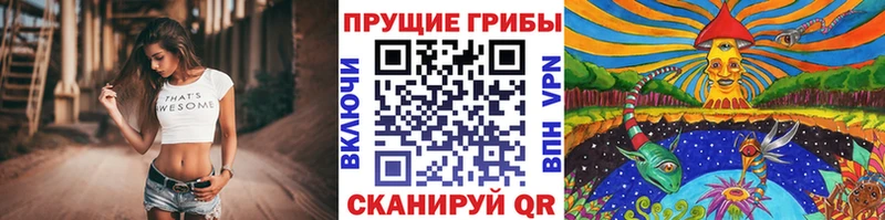 Галлюциногенные грибы MAGIC MUSHROOMS  Купить закладки  Мензелинск 